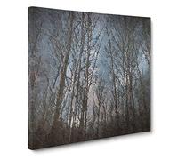 Bare Trees at Twilight in Abstract Modern Canvas Wall Art Print Ready to Hang, Framed Picture for Living Room Bedroom Home Office Décor, 20x20 Inch (50x50 cm)