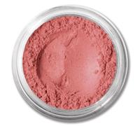 BareMinerals Multi Tasking Concealer SPF20 & Blushers All Shades Available