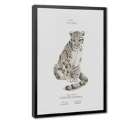 Bareronor Clouded Leopard Poster Canvas Poster Wall Art Decor Print Picture Paintings for Living Room Bedroom Decoration 12" L X 18" W