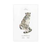 Bareronor Clouded Leopard Poster Canvas Poster Wall Art Decor Print Picture Paintings for Living Room Bedroom Decoration 24" L X 36" W