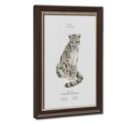 Bareronor Clouded Leopard Poster Canvas Poster Wall Art Decor Print Picture Paintings for Living Room Bedroom Decoration 8" L X 12" W