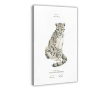 Bareronor Clouded Leopard Poster Canvas Poster Wall Art Decor Print Picture Paintings for Living Room Bedroom Decoration 12" L X 18" W