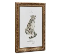 Bareronor Clouded Leopard Poster Canvas Poster Wall Art Decor Print Picture Paintings for Living Room Bedroom Decoration 20" L X 30" W
