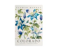 Bareronor Colorado State Flower Canvas Poster Bedroom Decor Landscape Office Room Decor Gift 8" L X 12" W