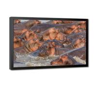 Bareronor Hippopotamus Poster Canvas Poster Bedroom Decor Landscape Office Room Decor Gift 24" L X 36" W