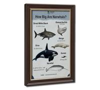 Bareronor Unicorn Whale Size Canvas Poster for Home Decor Gift