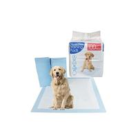 Bargain Factory - Pet Potty Training Pads for Dogs Puppy Pads - 5 Layers Super-Absorbent Waterproof - 56 x 56 cm - Disposable Puppy Pee Pads (Pack of100), Blue