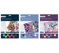 Bargain Gateway Tallon Adult Paint by Numbers - Assorted Designs X1 Random Set