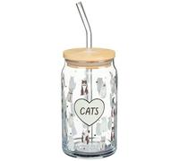 BargainsMania A Tale of Tails Cat Glass Sipper Cup with Straw - Kinds of Soft Drinks, Iced Coffees and Smoothies, This Durable Glass Cup Brings Feline Fun to Every Sip.