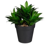 BargainsMania Artificial Plant In Pot - Add Some Greenery To Your Home Or Office This Spring - This Artificial Plant Is Great For Decorating Your Space (Black Pot)