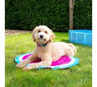 BargainsMania Cooling Mat - Watermelon - There's No Need To Refrigerate As It Helps To Cool Your Pet's Body Temperature With Non Toxic Materials