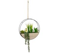 BargainsMania Round Trailing Plant - Bring A Touch Of Modern Style And Natural Beauty To Your Home With This Round Trailing Plant - A Fresh And Decorative Way To Brighten Your Space This Spring