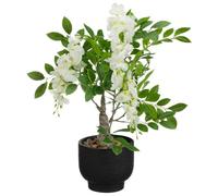BargainsMania Wisteria In Black Pot - Brighten Up Your Home With This Stunning Wisteria In A Black Pot - Combining Modern Style With Natural Beauty To Elevate Your Space