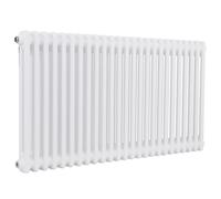 Baridi Horizontal Traditional 2 Column Radiator