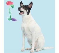 Bark Best Berry Friends Dog Toy - Single
