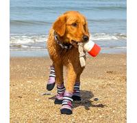 Bark Brite Lightweight Neoprene Paw Protector Dog Boots Designed for Comfort and Breathability in 5 Sizes (Lavender Md)