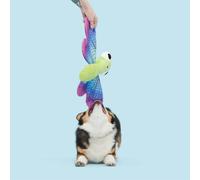 Bark Dragonfly Guy Dog Toy