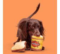 Bark Vegemutt Toast Dog Toy
