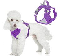 BARKBAY Dog Harness No Pull Oxford with ID Tag Pocket - Heavy Duty, Reflective, Easy Control for Large Dogs(Purple Oxford,S)