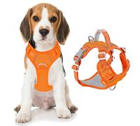 BARKBAY Dog Harness No Pull Oxford with ID Tag Pocket - Heavy Duty, Reflective, Easy Control for Large Dogs(Pumpkin Oxford,M)