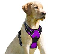 BARKBAY Dog Harness No-Pull Pet Harness Adjustable Outdoor Pet Vest 3M Reflective Oxford Material Vest for Dogs Easy Control for Small Medium Large Dogs(Purple,M)