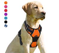BARKBAY Dog Harness No-Pull Pet Harness Adjustable Outdoor Pet Vest Front Clip Heavy Duty 3M Reflective Oxford Material Vest for Dogs Easy Control for Small Medium Large(Orange,M) Dogs(Orange,M)