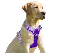 BARKBAY No Pull Dog Harness Front Clip Heavy Duty Reflective Easy Control Handle for Large Dog Walking(Violet Purple & Purple,XS)