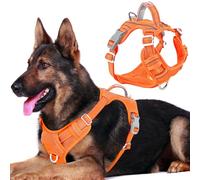 BARKBAY No Pull Dog Harness Front Clip Heavy Duty Reflective Easy Control Handle for Large Dog Walking with ID tag Pocket(Orange,XL)