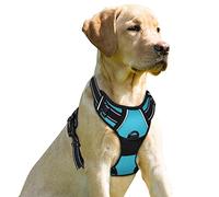 BARKBAY No Pull Dog Harness Front Clip Heavy Duty Reflective Easy Control Handle for Large Dog Walking(Blue,L)