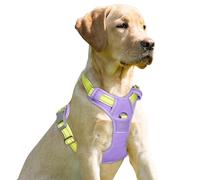 BARKBAY No Pull Dog Harness Front Clip Heavy Duty Reflective Easy Control Handle for Large Dog Walking(Violet Purple & Sunlight,M)