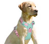 BARKBAY No Pull Dog Harness Front Clip Heavy Duty Reflective Easy Control Handle for Large Dog Walking(Cool Mint & Baby Pink,M)