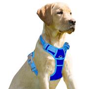 BARKBAY No Pull Dog Harness Front Clip Heavy Duty Reflective Easy Control Handle for Large Dog Walking(Sapphire Blue & Blue,L)