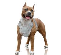 BARKBAY No Pull Dog Harness Large Reflective Dog Harness with Front Clip and Easy Control Handle for Walking Training Running with ID tag Pocket(Grey,L)