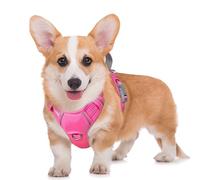 BARKBAY No Pull Dog Harness Large Reflective Dog Harness with Front Clip and Easy Control Handle for Walking Training Running with ID tag Pocket(Pink,M)
