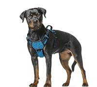 BARKBAY No Pull Dog Harness Large Reflective Dog Harness with Front Clip and Easy Control Handle for Walking Training Running with ID tag Pocket(Blue/Black,XL)
