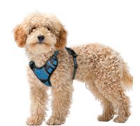 BARKBAY No Pull Dog Harness Large Reflective Dog Harness with Front Clip and Easy Control Handle for Walking Training Running with ID tag Pocket(Blue/Black,XS)