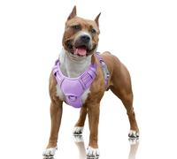 BARKBAY No Pull Dog Harness Large Reflective Dog Harness with Front Clip and Easy Control Handle for Walking Training Running with ID tag Pocket(Violet Purple,L)
