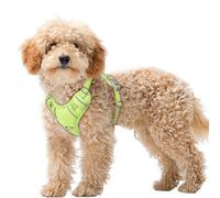 BARKBAY No Pull Dog Harness Large Reflective Dog Harness with Front Clip and Easy Control Handle for Walking Training Running with ID tag Pocket(Sunlight,XS)