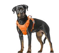 BARKBAY No Pull Dog Harness Large Reflective Dog Harness with Front Clip and Easy Control Handle for Walking Training Running with ID tag Pocket(Orange,XL)