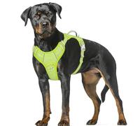 BARKBAY No Pull Dog Harness Large Reflective Dog Harness with Front Clip and Easy Control Handle for Walking Training Running with ID tag Pocket(Sunlight,XL)