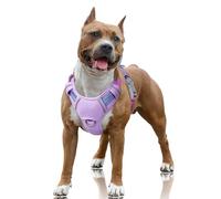 BARKBAY No Pull Dog Harness Large Reflective Dog Harness with Front Clip and Easy Control Handle for Walking Training Running with ID tag Pocket(Lavender Sky,L)