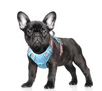 BARKBAY No Pull Dog Harness Large Reflective Dog Harness with Front Clip and Easy Control Handle for Walking Training Running with ID tag Pocket(Baby Blue & Baby Pink,S)