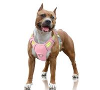 BARKBAY No Pull Dog Harness Large Reflective Dog Harness with Front Clip and Easy Control Handle for Walking Training Running with ID tag Pocket(Baby Pink & Sunlight,L)