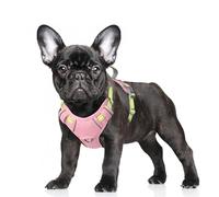 BARKBAY No Pull Dog Harness Large Reflective Dog Harness with Front Clip and Easy Control Handle for Walking Training Running with ID tag Pocket(Baby Pink & Sunlight,S)