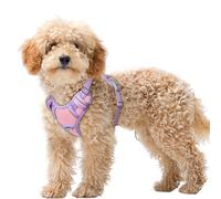 BARKBAY No Pull Dog Harness Large Reflective Dog Harness with Front Clip and Easy Control Handle for Walking Training Running with ID tag Pocket(Baby Pink & Violet Purple,XS)