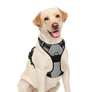 BARKBAY No Pull Dog Harness Large Step in Reflective Dog Harness with Front Clip and Easy Control Handle for Walking Training Running(Flint Gray,L)