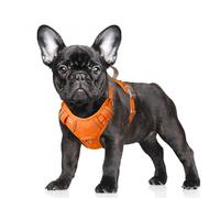 BARKBAY No Pull Dog Harness Large Step in Reflective Dog Harness with Front Clip and Easy Control Handle for Walking Training Running with ID tag Pocket(Orange,S)