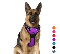 BARKBAY No Pull Dog Harness Large Step in Reflective Dog Harness with Front Clip and Easy Control Handle for Walking Training Running(Purple,XL)