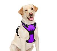 BARKBAY No Pull Dog Harness Large Step in Reflective Dog Harness with Front Clip and Easy Control Handle for Walking Training Running(Purple,L)