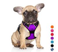 BARKBAY No Pull Dog Harness Large Step in Reflective Dog Harness with Front Clip and Easy Control Handle for Walking Training Running(Purple,S)